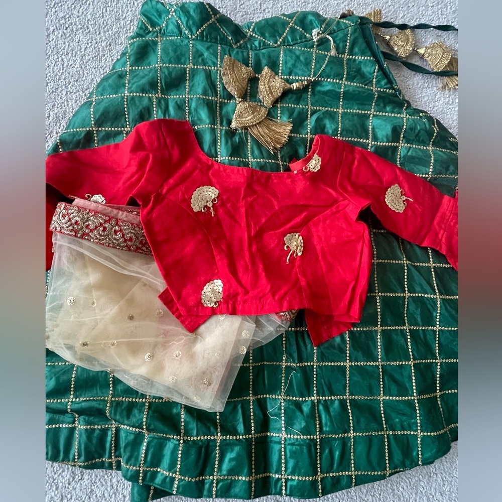 Navratri Chania Choli